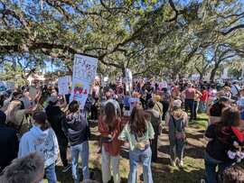 nokings demonstration Savannah